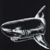 PALM ANGELS Czarny męski t-shirt Broken Shark Classic Tee