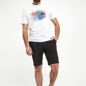 T-shirt męski PAUL&SHARK